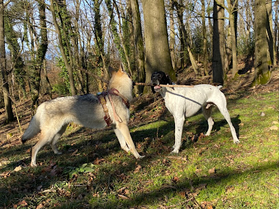 Val De Saône Petsitter, Gardien D'animaux à Reyrieux