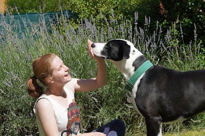 Alice Petsitter, Gardien d'Animaux / Petsitter à Noisy-sur-École