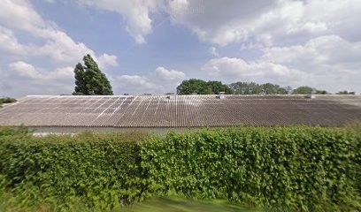 Exotic Animal's, Animalerie à Saint-Dolay