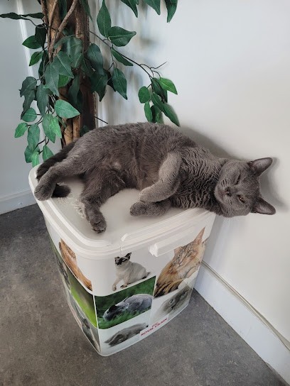 Chat d'amour & co, Gardien d'Animaux / Petsitter à Moisselles