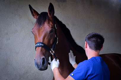 Dentiste Pour Chevaux, Animalerie à la Garde-Adhémar