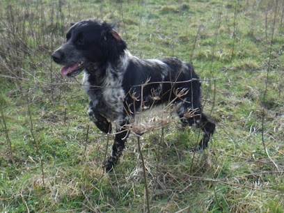 La Bonne Pioche Montluçon, Gardien d'Animaux / Petsitter à Montluçon