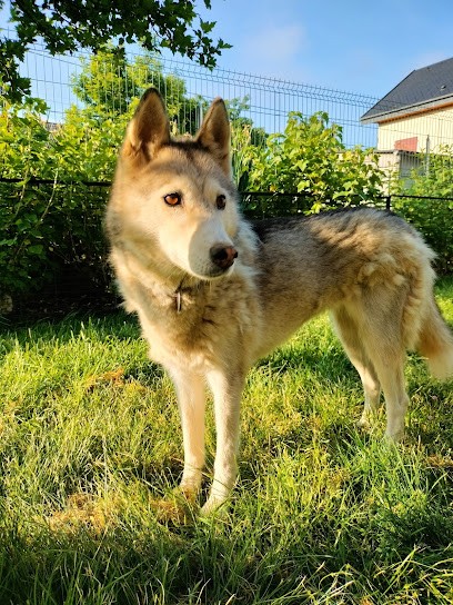 Chloé Pet-Sitter, Gardien d'Animaux / Petsitter à Chambéry