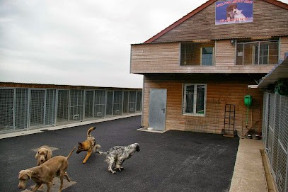 La Pension chiens chats du Val de Sambre, Pension pour Animaux à Colleret