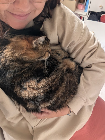 Les P'tites Patounes Pet-Sitter, Gardien D'animaux à Romagnat