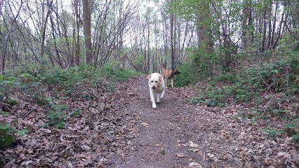 L'arche Des Animaux, Gardien d'Animaux / Petsitter à Port-Jérôme-sur-Seine