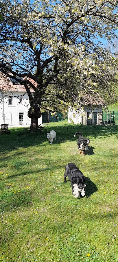 L'ilot Toutou, Pension pour Animaux à La Motte-d'Aveillans