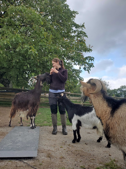 Anna Pet Sitting Gardien D'animaux à Vimartin-sur-Orthe