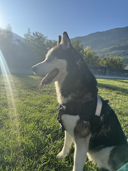 Clarisse Pet-Sitter Gardien D'animaux à Albertville