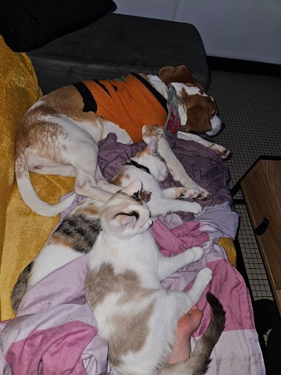 La Family Pets Company, Gardien d'Animaux / Petsitter à Auch