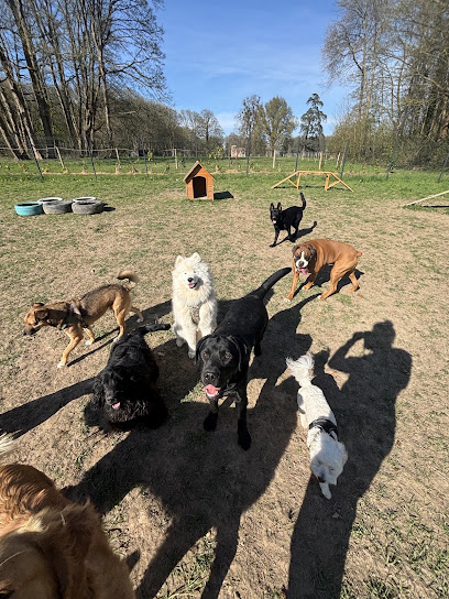 Joucky&Cie Centre Aéré Canin, Gardien D'animaux à Saint-Jean-du-Cardonnay