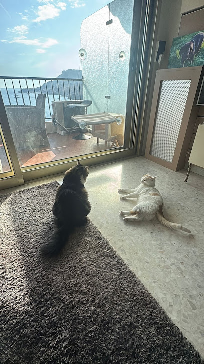 Cl Service - Petsitter&Nounou Domicile Gardien D'animaux à Nice