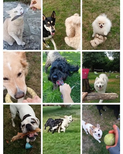 Mélie et compagnie, Gardien d'Animaux / Petsitter à Arbonne-la-Forêt