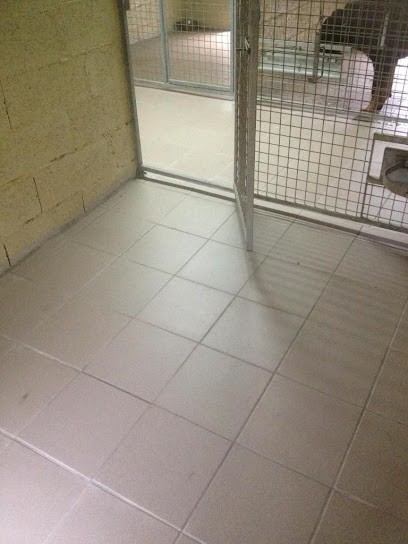 Pension Féline Des Jolifières, Pension pour Animaux à Saint-Vincent-du-Lorouër