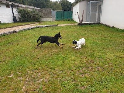 The four legs of happiness, Pension pour Animaux à Ploeren