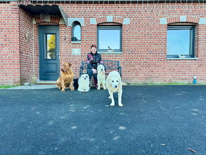 Virginie Petsitter Gardien D'animaux à Poix-du-Nord