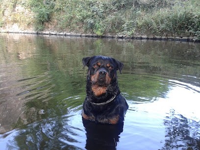 Pension des Trois Frènes, Pension pour Animaux à Retiers