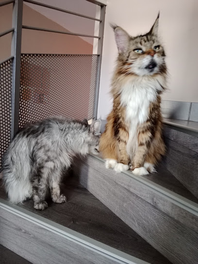 Louna Et Cie, Garde D'animaux, Gardien D'animaux à Thorey-en-Plaine
