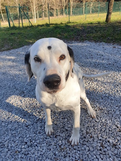 In Love With Pet, Pension pour Animaux à Lugrin