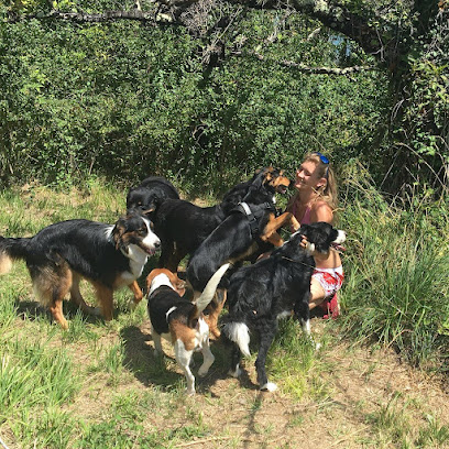 Jecksaw And Co. Garde De Chiens, Gardien D'animaux à la Voulte-sur-Rhône
