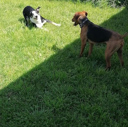 Le Monde des Zou'pets Pension chiens, chats et NAC, Gardien d'Animaux / Petsitter à Varennes-sur-Allier