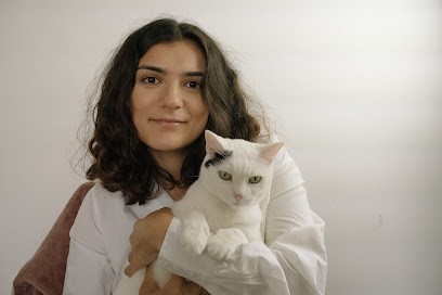 Garde Chat & Comportementaliste Chat | Sarah Langage Félin | Amiens, Gardien d'Animaux / Petsitter à Amiens