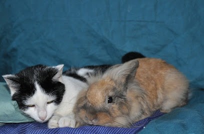 Calinimo, Gardien d'Animaux / Petsitter à Mazé-Milon