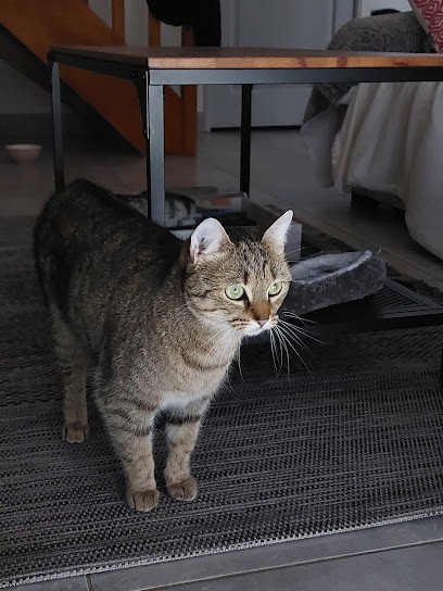 Garde pattes, Pension pour Animaux à Rennes