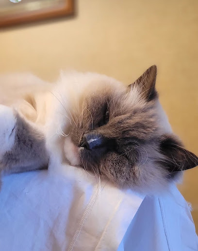 Paw-Aime, Gardien D'animaux à Cenon