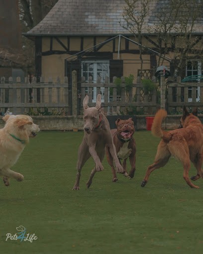 Pets4Life, Pension pour Animaux à Beauficel-en-Lyons