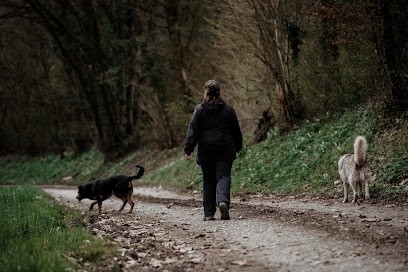 ANIHELP, Gardien d'Animaux / Petsitter à Sarrebourg