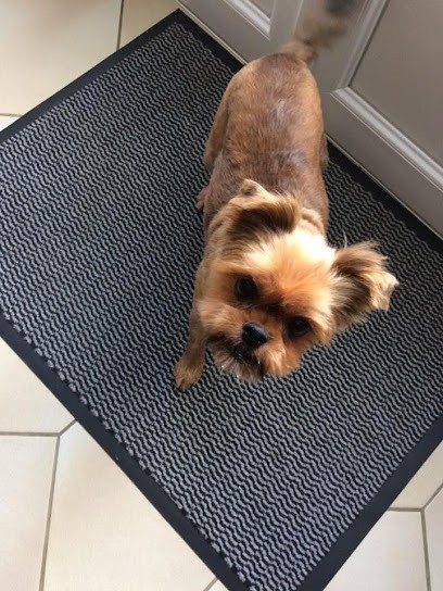 Marx Véronique, Animalerie à Damery