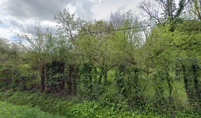 CROQUETTES A DOM', Animalerie à Châtenoy