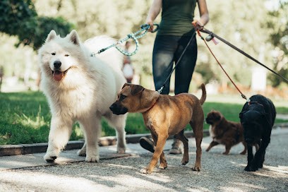 Animal Crèching : Pet-sitting / Garde de vos animaux à votre domicile, Pension pour Animaux à Belley