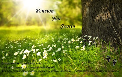 Pension nac sevrin, Gardien d'Animaux / Petsitter à Boisgervilly