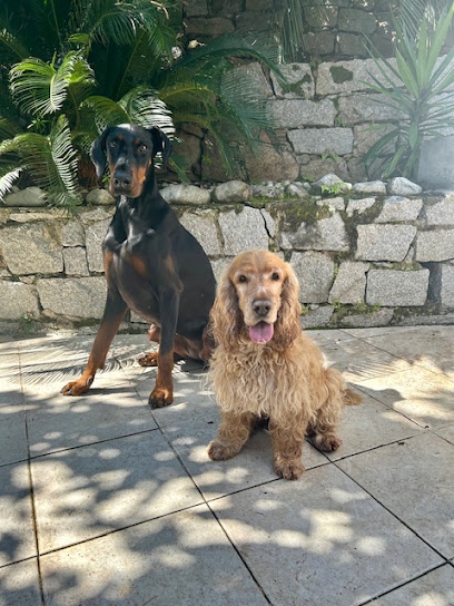 Entre De Bonnes Pattes Gardien D'animaux à Ajaccio