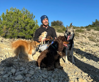 Chez Peter Votre Petsitter, Gardien D'animaux à Plan-d'Orgon