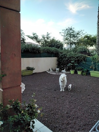 Boules de poils et compagnie - petsitter, Gardien d'Animaux / Petsitter à Agde