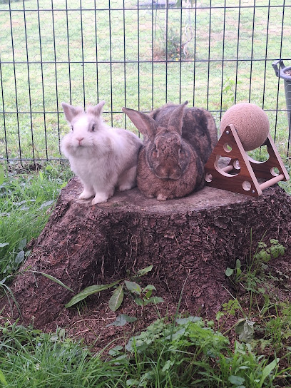 Pension Pour Lapins Anim&Veille, Gardien D'animaux à Malville