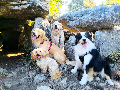 Les Promenades De Ker Picrom, Pension Pour Animaux à Plouharnel