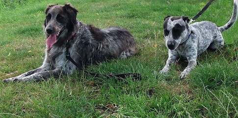 Petsitter33, Gardien d'Animaux / Petsitter à Mérignac