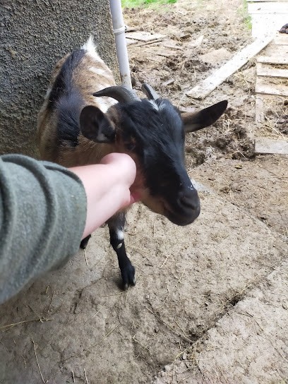 Animal's Cocooning, Pension pour Animaux à Ségoufielle