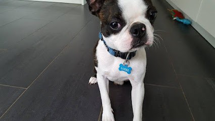 MedaillesChien.com, Animalerie à Montélimar