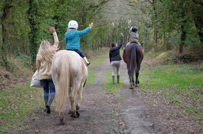 Marianimaux, Gardien d'Animaux / Petsitter à Ploemel