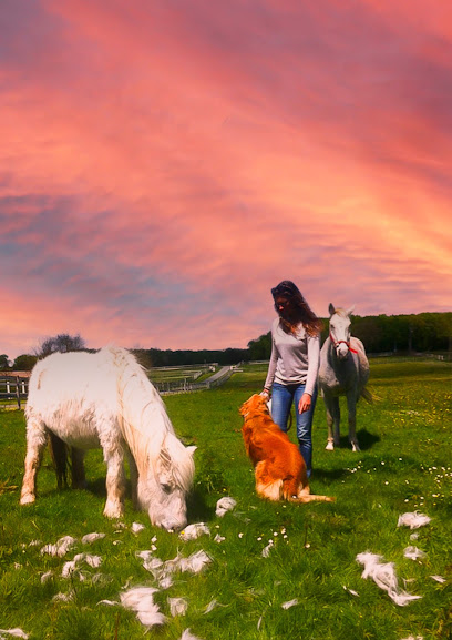 Aurore Animaux Services, Gardien D'animaux à Chaniers