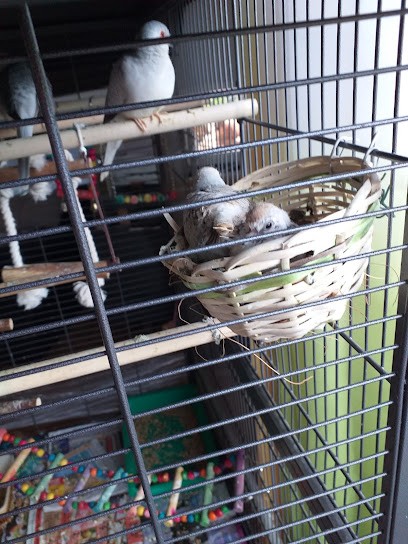 Les Volières de l'Atlantique, Animalerie à Abbaretz