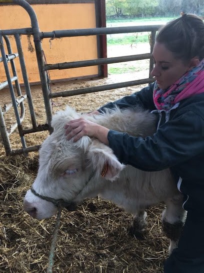 Palazon Margaux, Animalerie à Beaumont