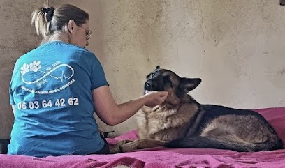 Garde Ma Patte - Garde D'animaux-Massage Canin - Education Canine- Narbonne, Pension pour Animaux à Saint-Marcel-sur-Aude