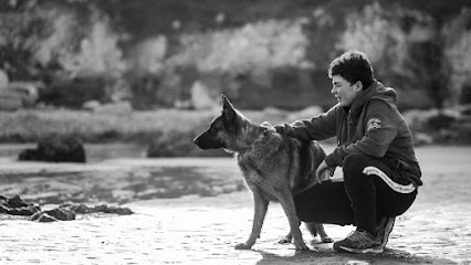 Teddy Geffroy - Education & Pension Canine Pension Pour Animaux à Cuverville