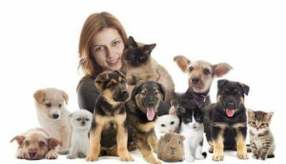 L'auberge animalière de Laetitia à Narbonne, Gardien d'Animaux / Petsitter à Narbonne